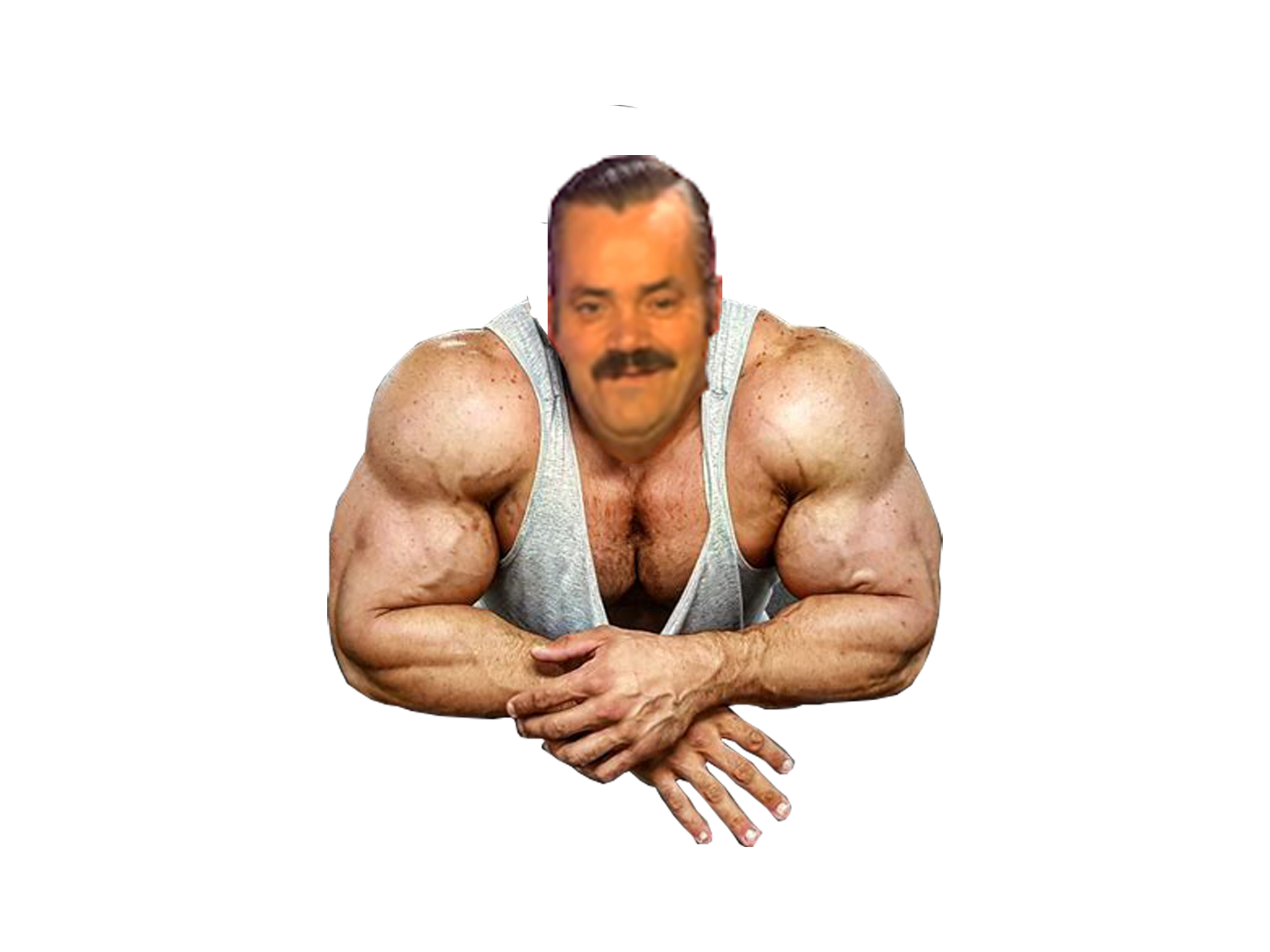 Sticker De ElCelestin Sur Muscu Chad Risitas