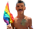 lgbt-risitas-gay