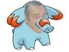 phanpy-johto-pokemon-risitas