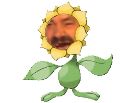 risitas johto heliatronc pokemon