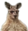 risitas-lunette-lunettes-patate-benjam-serieux-kangourou