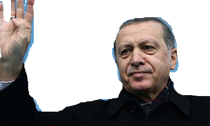 erdodo