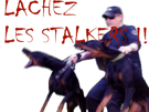 les-stalkers-police-stalker-pute-chien-lachez