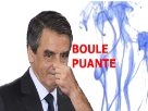 fillon-boule-puante