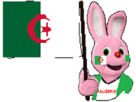 algerie-h22-drapeau-duracell