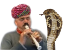 charmeur-issou-menteur-de-cobra-pipeau-vipere-la-risitas-chancla-serpents-turban-flute-indien-pipo