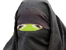 burkini-voile-burqa-kermit-musulmane