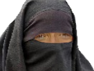 woodys-sourire-chanteur-die-flippant-allemand-islam-voile