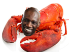 sy-lobster-omar-if