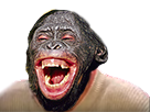 4cdw-chimpanze-lont-admins-noir-les-afrique-singe-risitas-rire-supprime-re-up