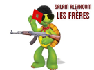 cool-arme-arabe-maroc-franklin-drapeau-salam