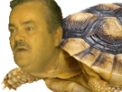 tortue-risitas