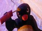 allah-terroriste-pingu-bombe-pingouin-akbar-bomb