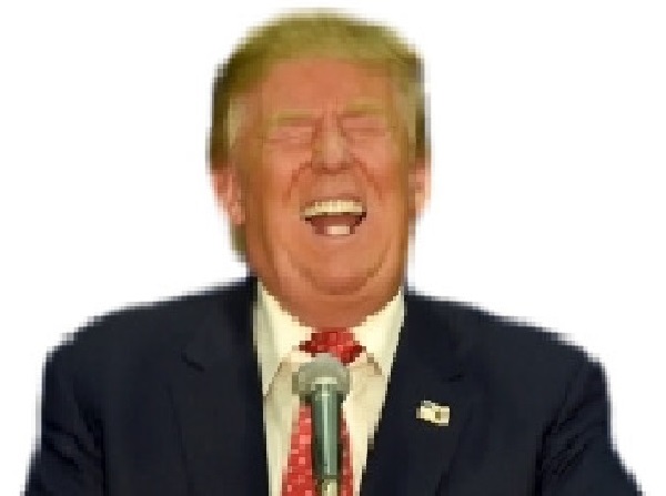 rigole trump president usa