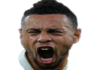 football coquelin ff arsenal