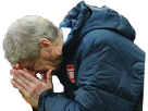 arsenal wenger arsene football ff