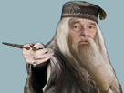 vieux-potter-harry-dumbledore-baguette-sort-president-main-droite-pouvoir-mage-magicien-magie-chirac-pere-sorcier
