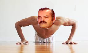 muscle pompes muscles sport