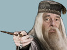 sort-doigt-harry-chirac-potter-mage-magie-sorcier-baguette-vieux-dumbledore-pouvoir-main-magicien-president