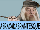 chirac-dumbledore-magicien-baguette-vieux-mage-harry-potter-sort-main-pouvoir-doigt-sorcier-magie-president-abracadabra