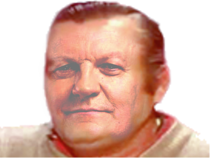 asselineau risitas 2017