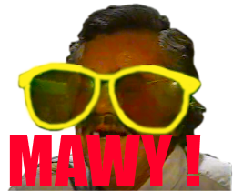 lunette risitas mawy lunettes issou