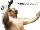 juif-kangouroujuif-kangourou