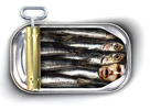 nonoss-brocantegame-kirby54-boite-poisson-sardine-totoss-kirby