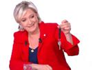 pen-marine-attentat-le-president-fn-2017-france