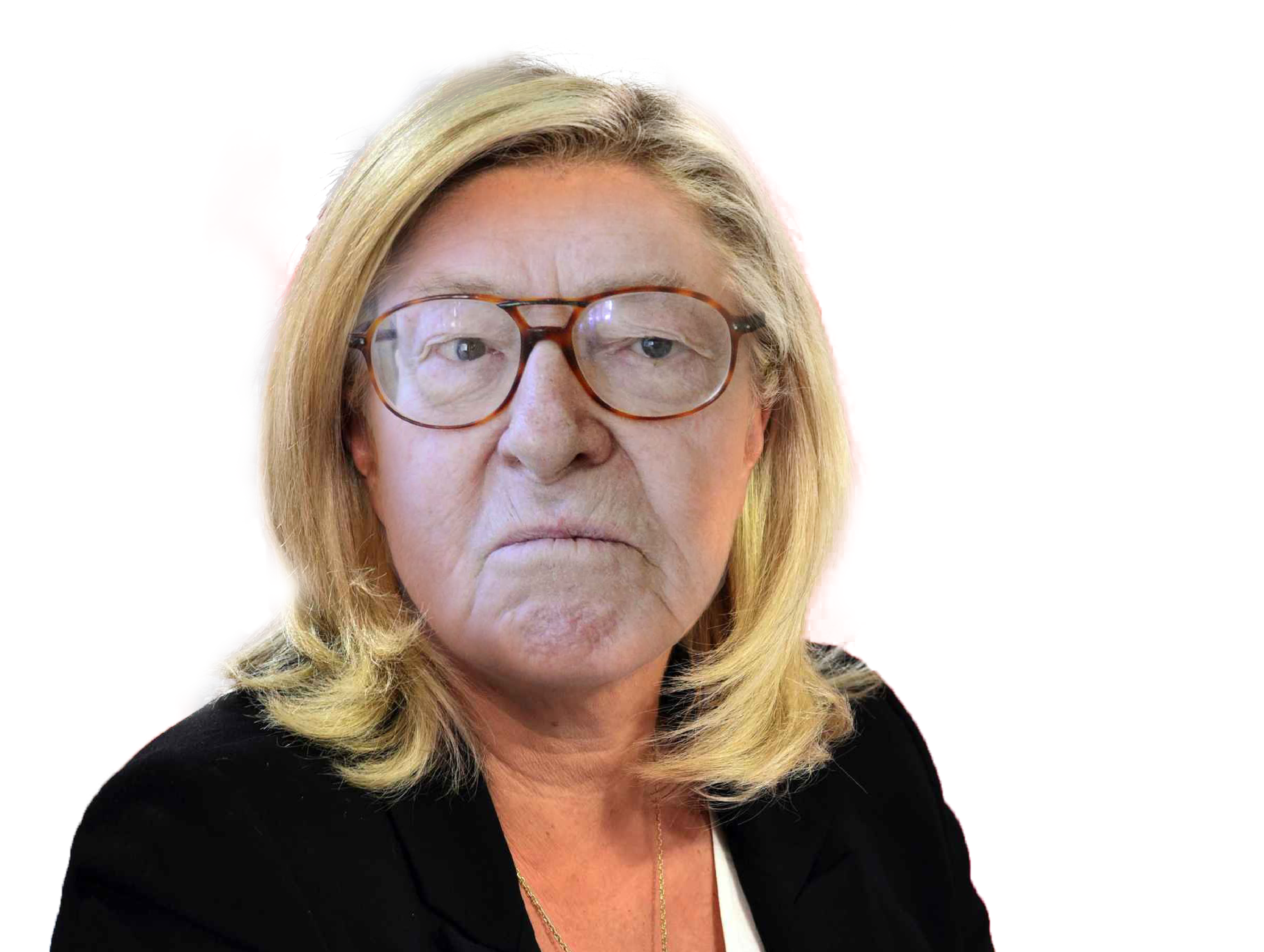 lepen fashos larme le de jean lol mari gauchos jpp pen bras politique marine petit fashiste