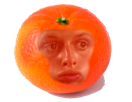 2017-rouge-pute-orange-koh-mandarine-lanta-clementine