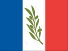 drapeau-president-foot-francais-bleu-upr-france-asselineau