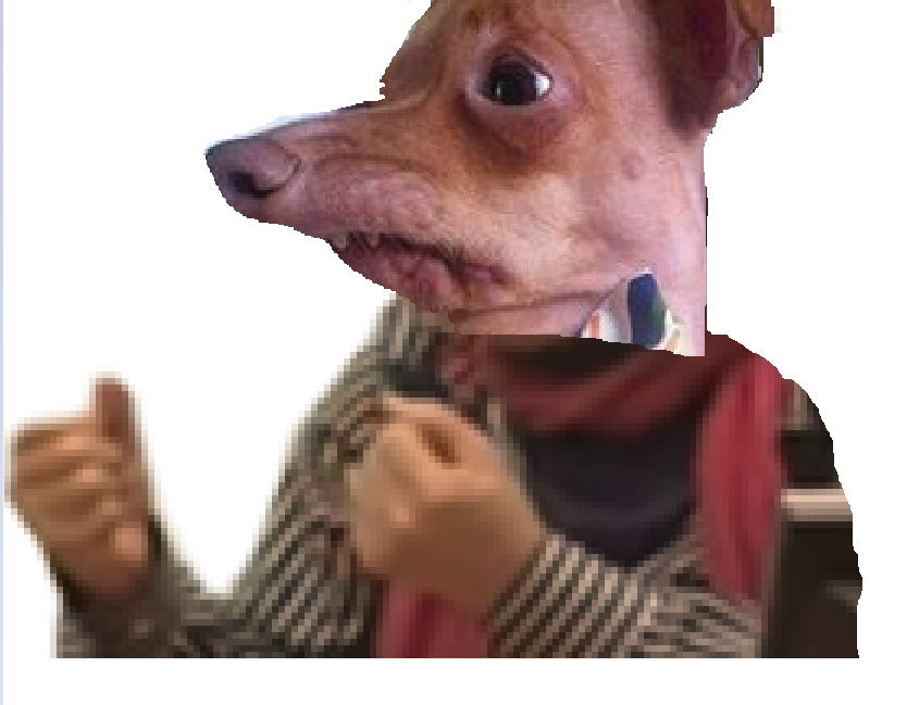 taper risichien chien