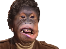 swap-singe-outan-orang-fusion-bonobo-jesus-deforme-monstre