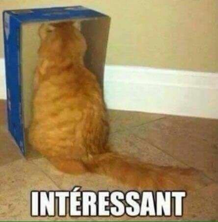 eussou issou mere fdp ta chat connard pd de dessus merde pisses te cat battard interessant risitas gros lard enculer jesus juif je