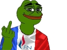 politic macron politique pepe fn france