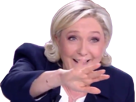 elections-fn-mpl-ils-marine-malaise-other-campagne-debat-lepen-ville