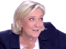 malaise-lepen-fn-ils-ville-mpl-elections-debat-other-marine-campagne