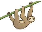 other-flemme-skype-sloth-paresseux