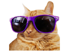 emoticone-tv-television-stream-emote-other-coolcat-twitch