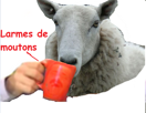 pleurs-larmes-other-macron-de-moutons