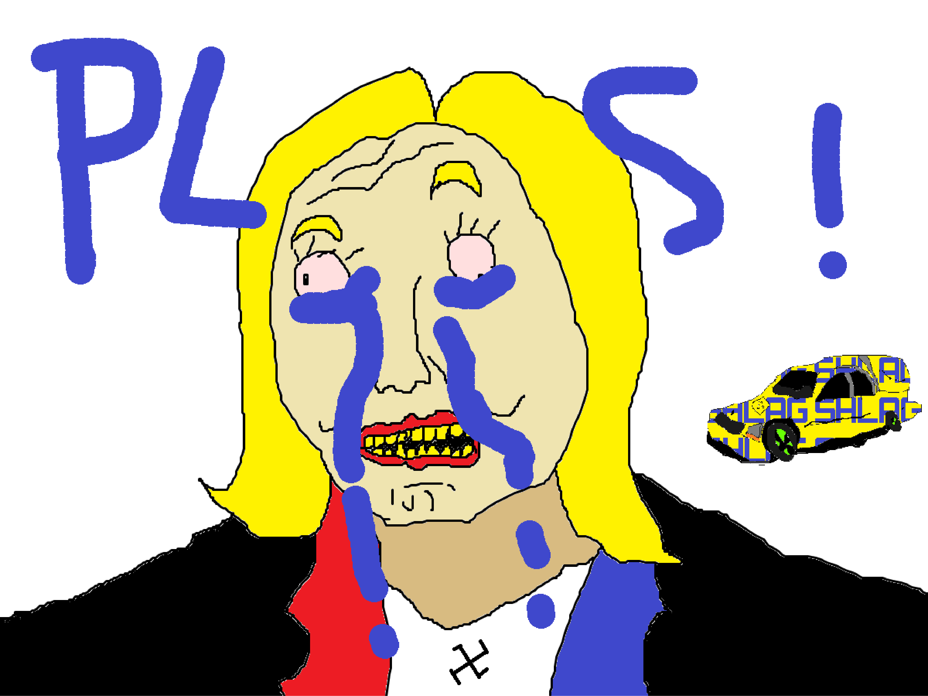 pls larme le pen corbillard shlag politic