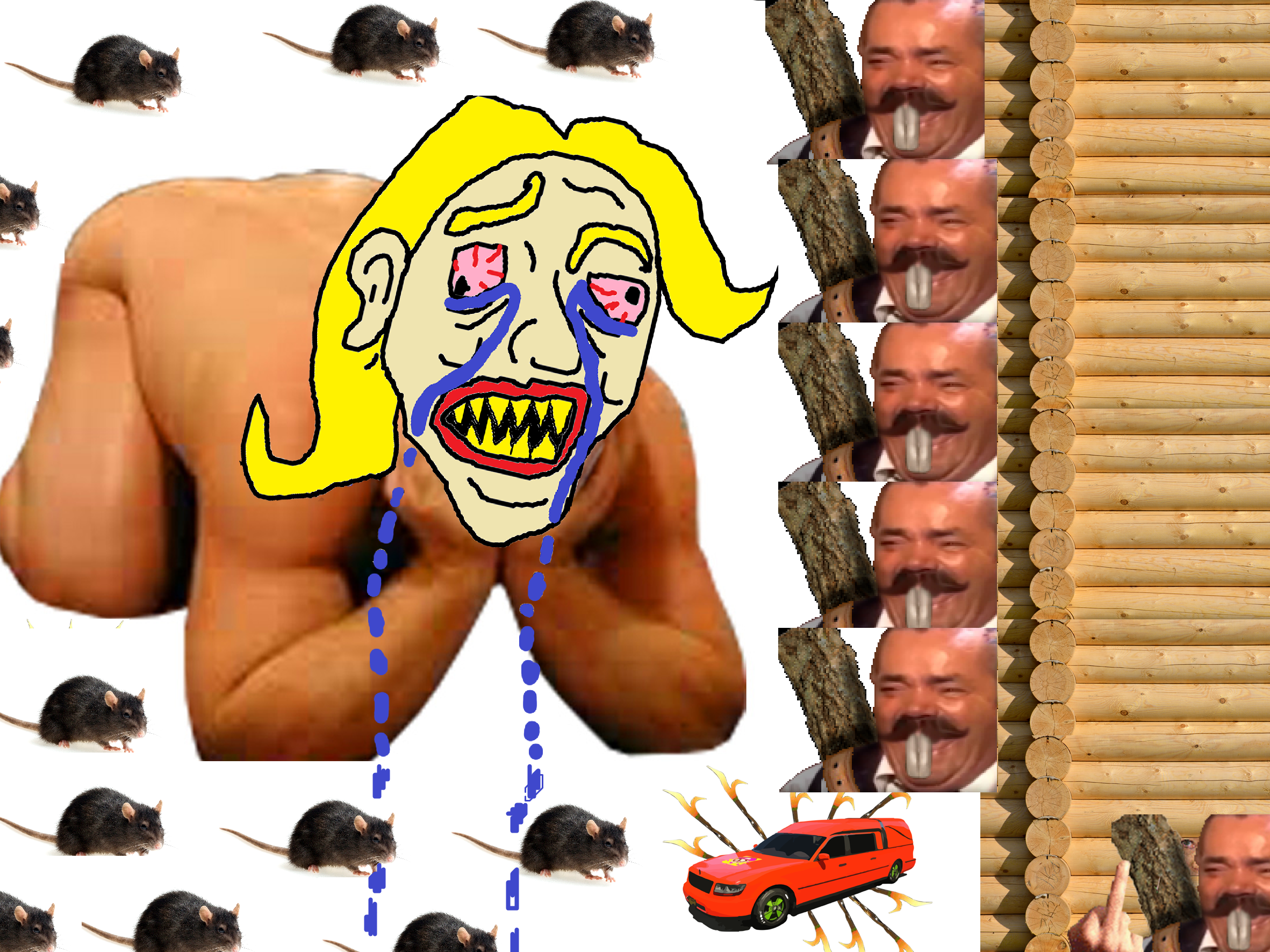 eco risitas au le fn corbillard barrage pen