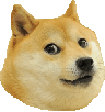 doggo-chien-doge-meme-sourire-shiba-dog-other-kabosu-animal