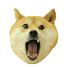 meme-kabosu-surpris-chien-dog-other-shiba-doge-animal-doggo