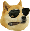 classe-chien-animal-meme-doge-cigare-doggo-lunettes-dog-shiba-bg-kabosu-other