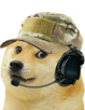 militaire-shiba-other-doggo-dog-doge-micro-chien-casque-kabosu-meme-animal-chapeau-casquette