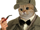 risitas sherlock watson deerstalker inspecteur detective chat reflechis enquete chapeau enqueteur plug_anal pipe elementaire cat roux broula
