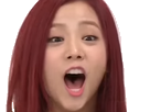 risitas jisoo blackpink kpop