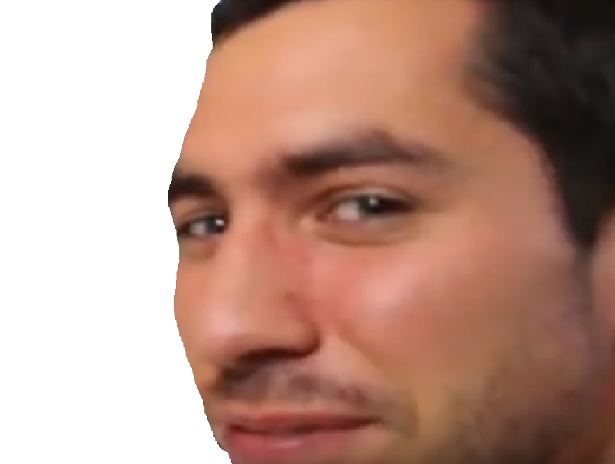 furry kirby54 risitas kirby johan